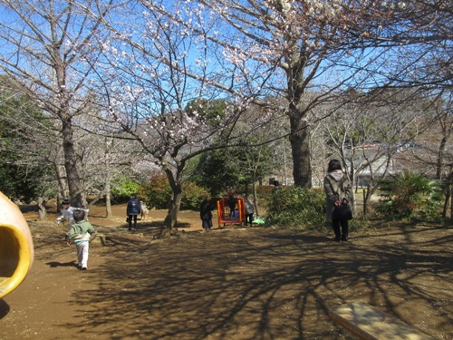 公園