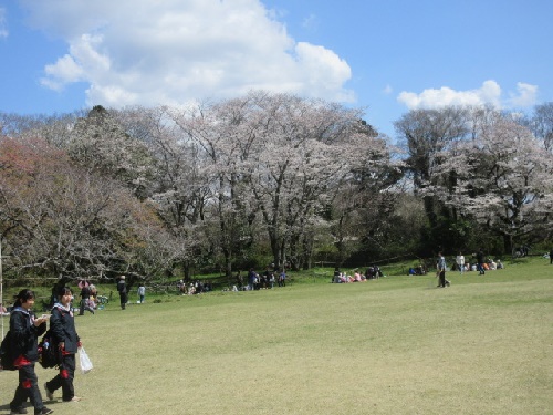 畑