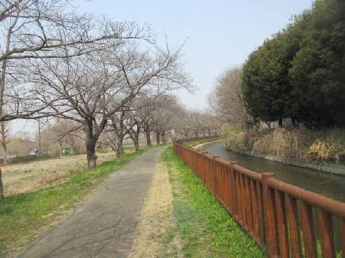 見沼代用水東縁の水路