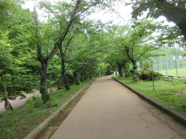 緑道