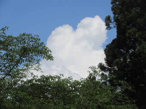 積乱雲