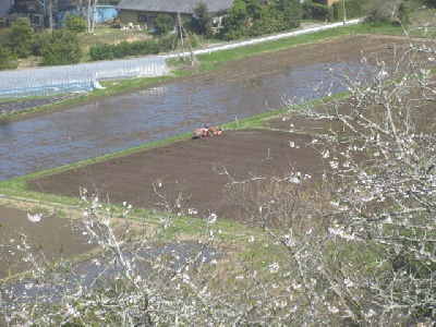 田植え準備