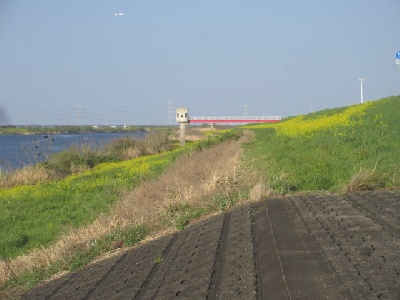 利根川土手