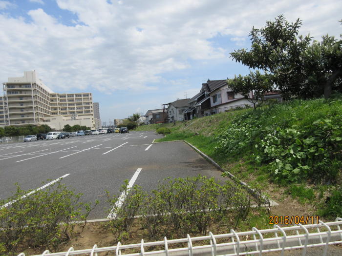 大込土手