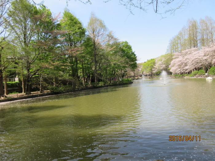 貝柄山公園