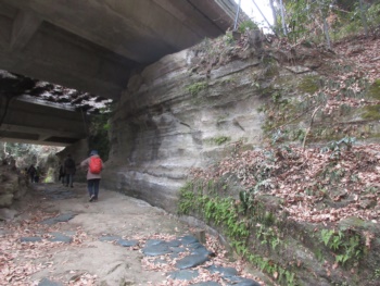 横浜横須賀道路