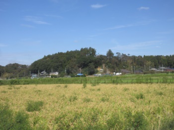 小笹塚城址全景