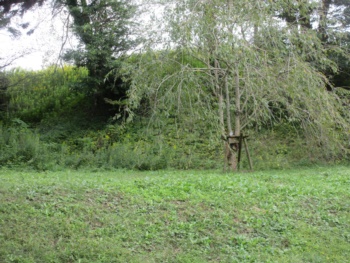 　麓から見上げる