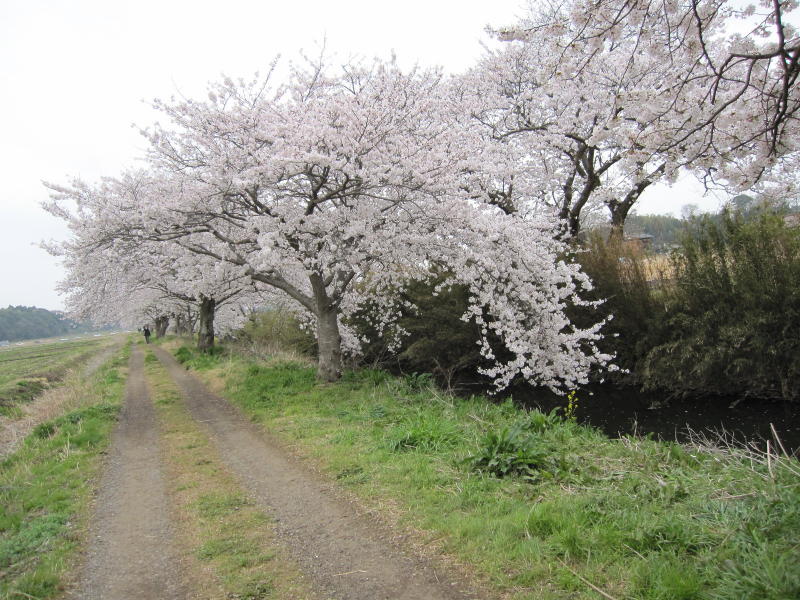 �����̍���