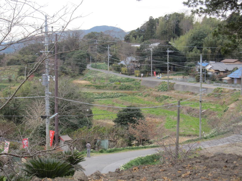 ����̃X�C�Z��