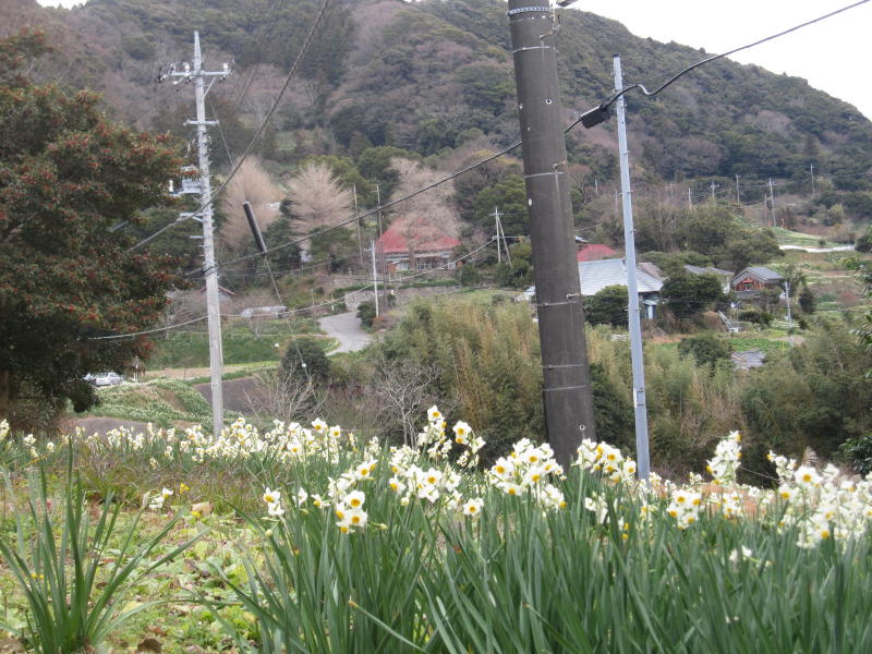 ��������̐���