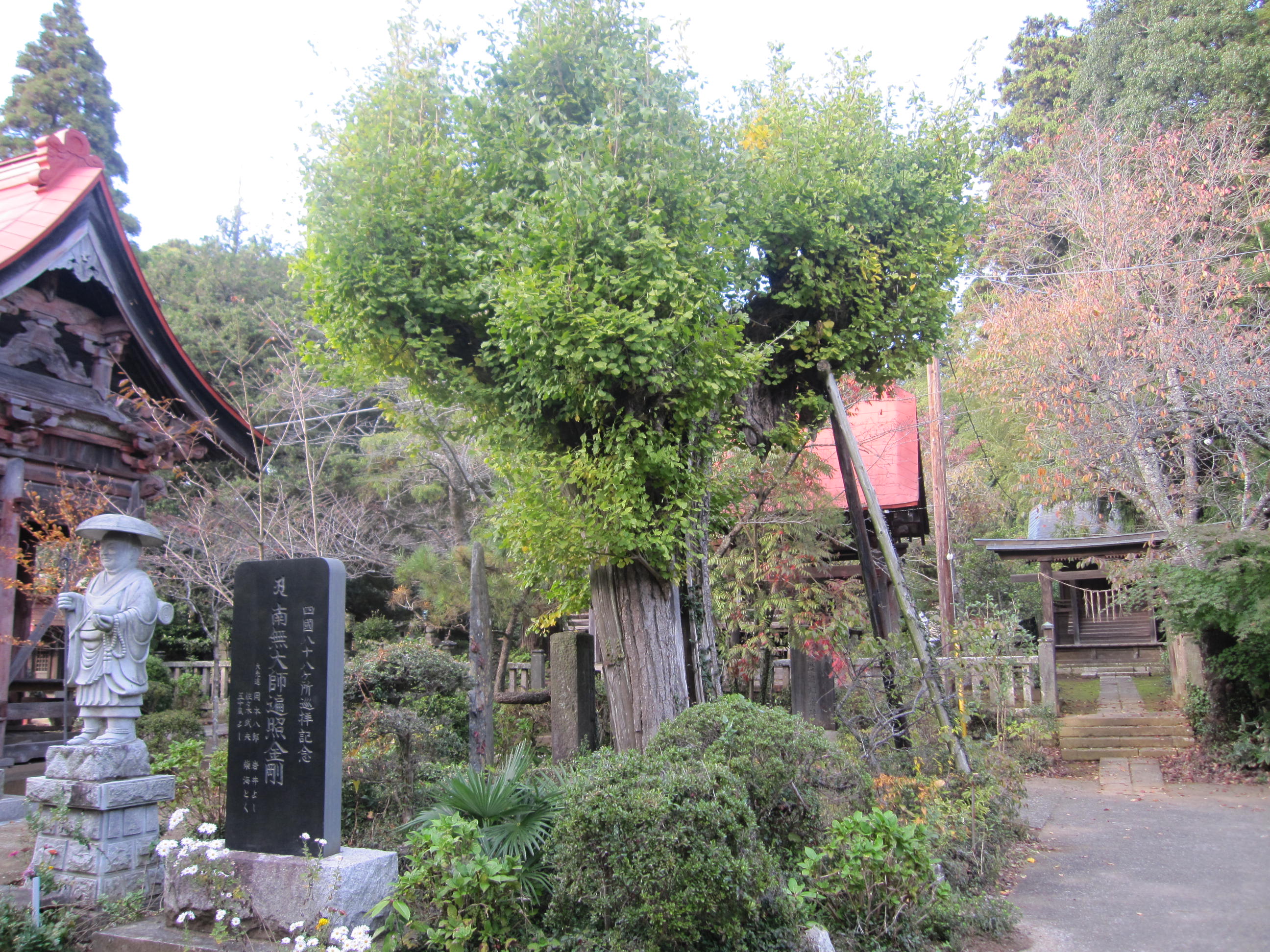 �����P�̏�